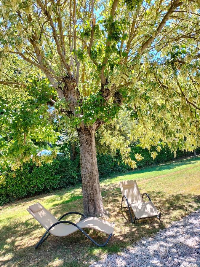 Casa Vacanze Bonardini Castiglione del Lago Zewnętrze zdjęcie