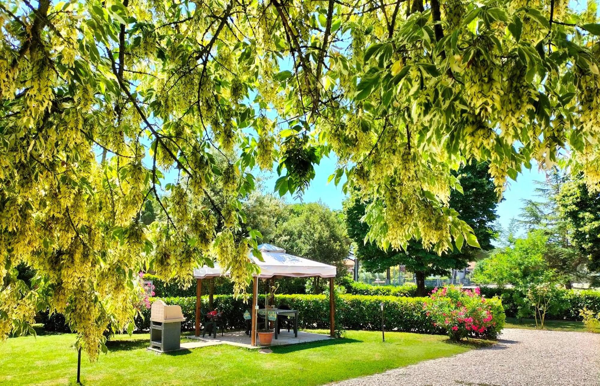 Casa Vacanze Bonardini Castiglione del Lago Zewnętrze zdjęcie